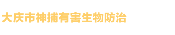 安代星代駕